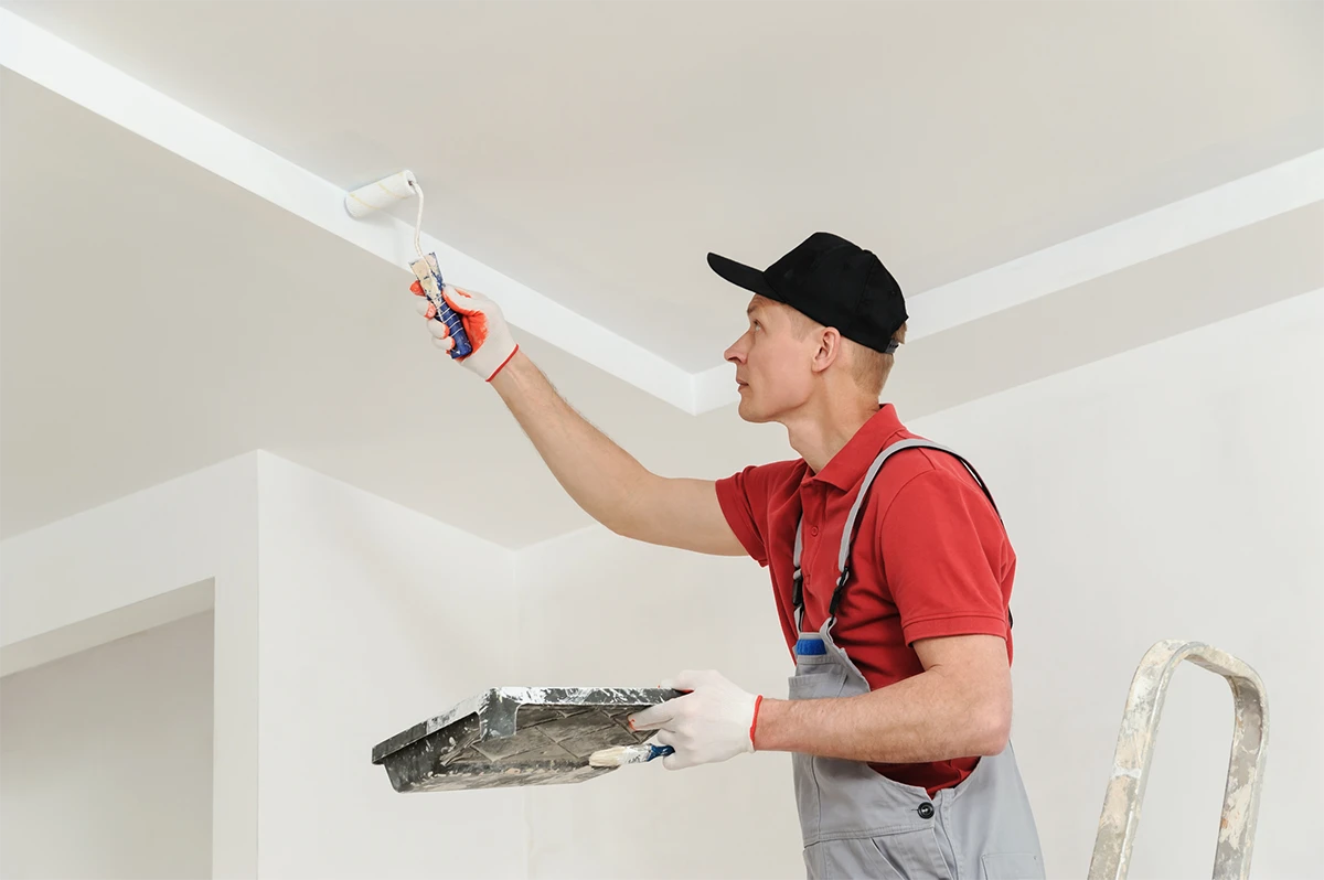 Professional Painting Service
